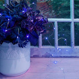 2 Pack Solar Powered Fairy String Lights Outdoor Waterproof 8 Modes Twinkle Christmas Decorations Lights, Each | Lumora
