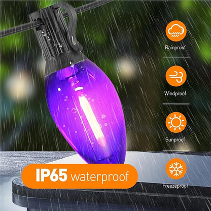 C7 Purple Christmas Lights Outdoor and Indoor 10ft - Halloween LED String Lights with 10 Vintage Bulbs, Waterproof Black Wire for Patio, Roofline, Xmas Tree, Holiday Decor