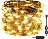 RUICHEN USB Plug in String Lights Silver Wire 33 Ft 100 LED Starry Fairy Lights with - Decorative Outdoor Light | Lumora