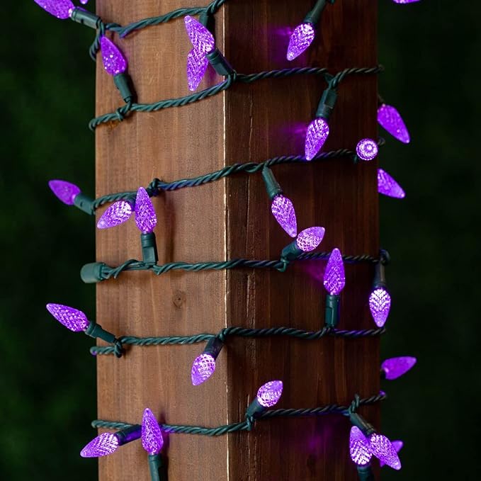 Novelty Lights 24FT 70 LED C6 Christmas String Lights, Outdoor Tree Commercial Grade Permanent Decorations (Purple) | Lumora