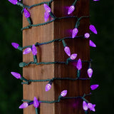 Novelty Lights 24FT 70 LED C6 Christmas String Lights, Outdoor Tree Commercial Grade Permanent Decorations (Purple) | Lumora