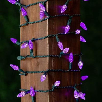 Novelty Lights 24FT 70 LED C6 Christmas String Lights, Outdoor Tree Commercial Grade Permanent Decorations (Purple)