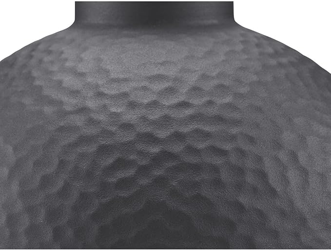 Progress Lighting Englewood Collection 1-Light Farmhouse Outdoor Medium Wall Lantern Light Textured Black, 10.38x12.00x12.00