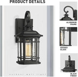 Emliviar Outdoor Wall Lantern Lights, 1-Light Exterior Wall Sconce Lamp, Black Finish with Clear Seeded Glass | Lumora