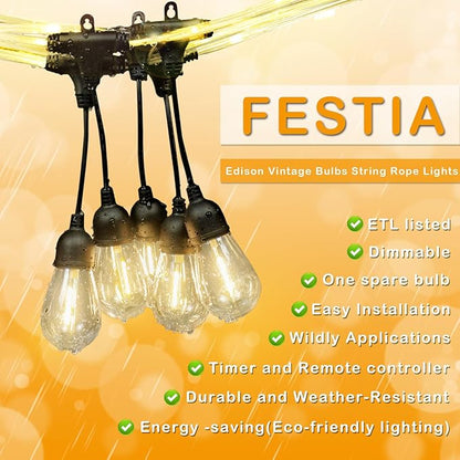 LED Outdoor Edison String Lights Waterproof with Remote 28.2FT, 12 Shatterproof Bulbs with Timer and IC Function, Patio & Backyard Lights, Dimmable Warm White 2700K, ETL Certified