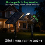 Solar Spot Lights Outdoor, Adjustable Angle Waterproof Landscape Spotlight, All Night LED Uplights Separate Panel | Lumora