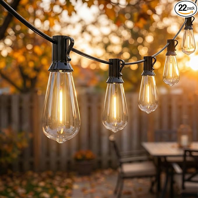 LED Outdoor Lights for Patio 20Ft, Waterproof Patio String Lights with 22 ST40 LED Edison Bulbs for Deck, Garden, Backyard,House, E17 Base, 2700K Dimmable, Vintage String Lights- Black Wire