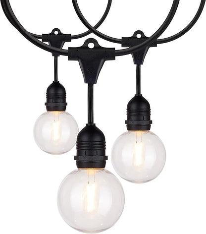 Satco S8034 LED Indoor/Outdoor String Lights, Black, G25 Bulbs, 24 Feet (Pack of 1)