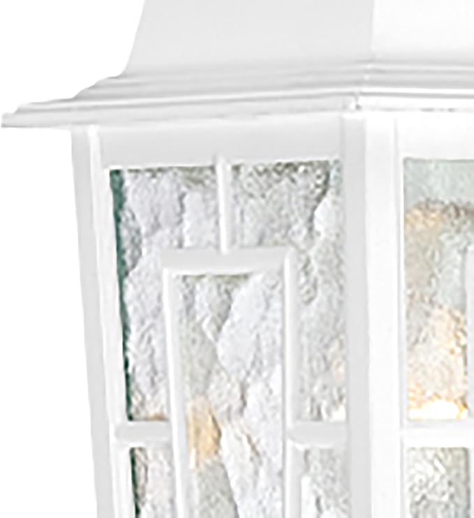 Nuvo Lighting 60/4921 Banyon One Light Wall Lantern/Arm Down 100 Watt A19 Max. Clear Water Glass White Outdoor | Lumora