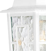 Nuvo Lighting 60/4921 Banyon One Light Wall Lantern/Arm Down 100 Watt A19 Max. Clear Water Glass White Outdoor | Lumora