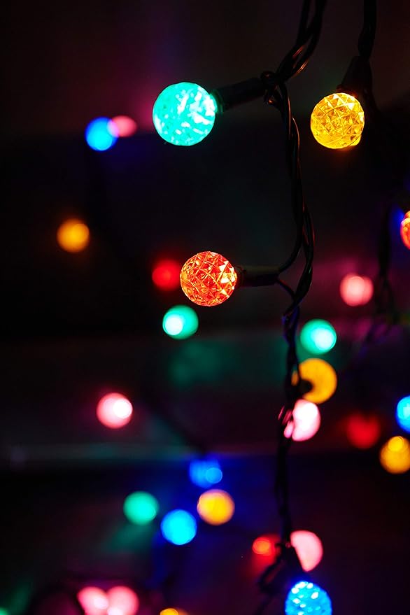 LAMPHOME 50 LED G20 String Light in 12.8ft,Indoor Outdoor Fairy String Light for Christmas,Party,Home,Patio | Lumora