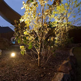 Cheopha Solid Brass Low Voltage Landscape Lighting,12V Landscape Lights, Compact Size Low Voltage Spotlight Fixture | Lumora