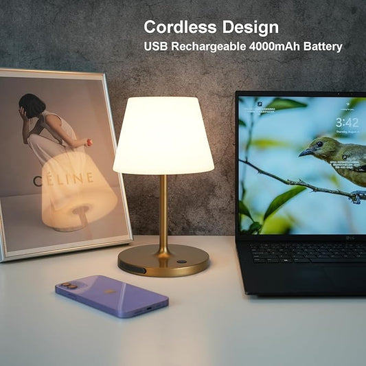 Outdoor Table Lamp/Cordless USB Rechargeable 4000mAh / 2700K LED/Touch Dimmable/Portable Battery Operated / IP44 Waterproof/PE Shade/Bedroom Dinning Camping Patio (Gold, 9.6in)