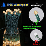 Warm White G12 LED Christmas Lights Outdoor- 71 FT 140 Count Berry LED Christmas Lights Outdoor Waterproof | Lumora