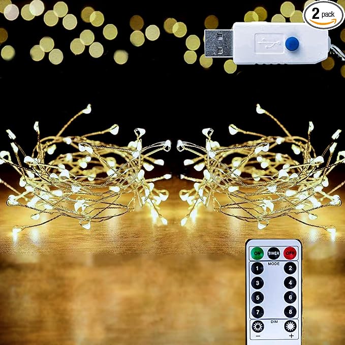 HANNAHONG 100 LED Fairy String Light for Wreath/Garland,Christmas Tree,Dorm,Bottel/Jar,USB Plug in Silver Wire Twinkle Lights,Waterproof Halloween Thanksgiving Wedding Party Décor (2 Pack,Warm White)