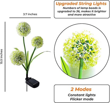 Solar Garden Lights Decorative Dandelion with 36 Colorful LED for Christmas Decor - IP65 Waterproof Solar Lights Outdoor (2-Pack)
