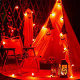 Minetom Halloween C7 Replacement Light Bulbs 25 Pack, C7 Bulbs Clear Incandescent Bulb for Halloween String Light | Lumora