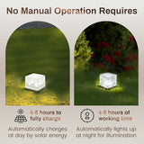 Wokyo Solar Brick Lights Outdoor Waterproof LED Rock Lights Patio Brick Lights 4 Packs for Patio, Yard, Walkway | Lumora