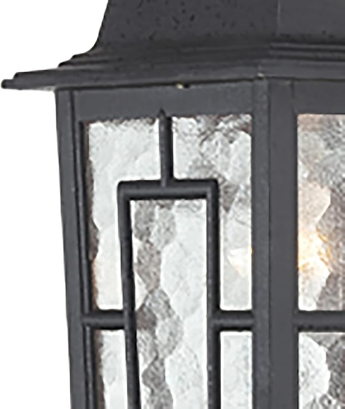 Nuvo Lighting 60/4923 Banyon One Light Wall Lantern/Arm Down 100 Watt A19 Max. Clear Water Glass Textured Black | Lumora