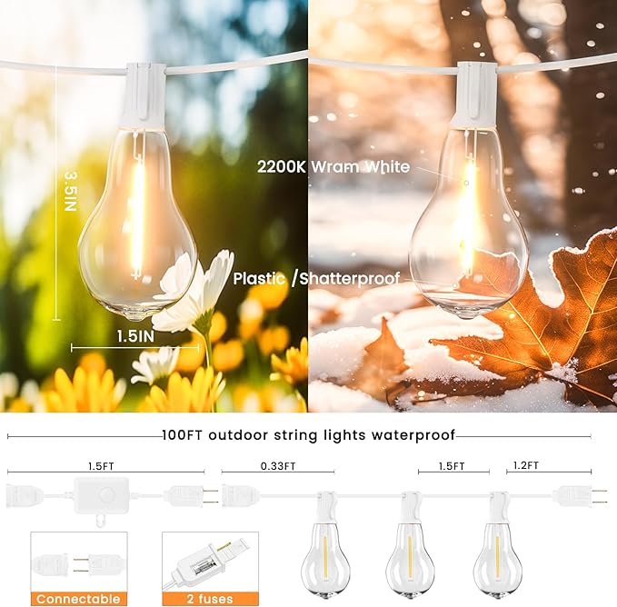 String Lights, 100FT Patio Lights with 64+5 Bulbs(1.5FT Bulbs Spacing), Outdoor String Lights, Remote & Dimmer, 3 | Lumora
