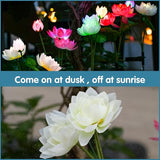 Solar Garden Lights - Solar Flower Lights, 7-Color Changing Lotus Lights for Yard, Garden - Outdoor Path Light | Lumora