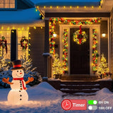 ZAIYW C9 Christmas Lights String, 66ft 100 LED Strawberry String Lights UL Plug C9 String Lights Green Wire | Lumora