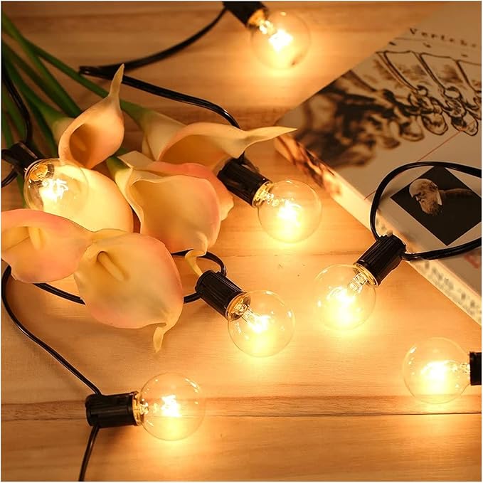 Outdoor String Lights Mains Powered Festoon Lighting 25FT G40 IP44 for Indoor & Outdoor Backyard Patio Cafe Garden Party Decoration Warm White Tomshine