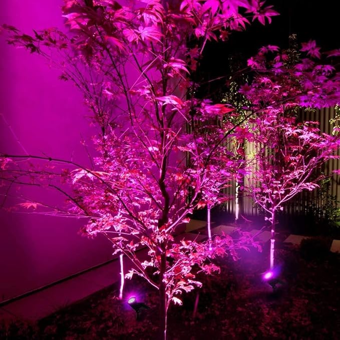 led Solar Landscape Lights,Waterproof Outdoor Solar Spotlight 2-in-1 Multi Use Outdoor Wall Lights, Decorative | Lumora