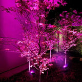led Solar Landscape Lights,Waterproof Outdoor Solar Spotlight 2-in-1 Multi Use Outdoor Wall Lights, Decorative | Lumora
