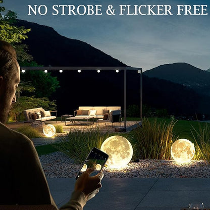 Wiring Powered Globe Shape Outdoor Light,Waterproof Moon Lamp with Resin Lampbody,Unique Outdoor Lighting for Staircase Swimming Pool and Yard(11.81" D)