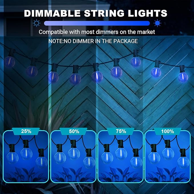 LAMPHOME LED Outdoor String Light, 26Feet Patio Lights with12+1Edison Shatterproof Bulbs(1Spare), UL Waterproof | Lumora