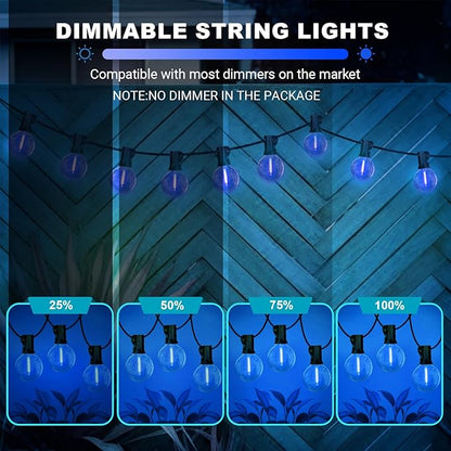 LAMPHOME LED Outdoor String Light, 26Feet Patio Lights with12+1Edison Shatterproof Bulbs(1Spare), UL Waterproof Outside Lights connectable Dimmable for Backyard Porch Decor,Blue
