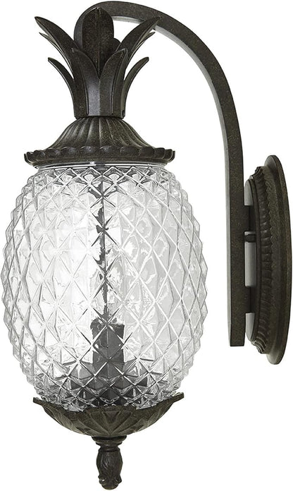 Acclaim 7502BC Lanai Collection 2-Light Wall Mount Outdoor Light Fixture, Black Coral