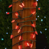 Novelty Lights 24FT 70 LED C6 LED Christmas String Lights, Commercial Grade Outdoor Tree Decorations (Red) | Lumora