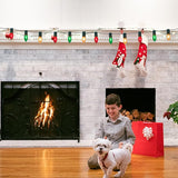 Abeja C9 Multicolor Chritsmas Lights, 25Ft Vintage Christmas String Lights with 26 Red/Green/Frosted White Bulbs | Lumora