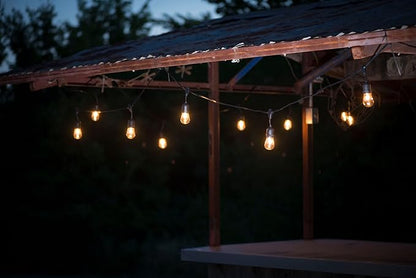 Vintage 48-Ft Outdoor Commercial String Lights with 24 Suspended Sockets and 24 Clear S14 Bulbs, 14 Gauge Black Cord