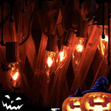 10 FT Flickering Flame Light String, C18 Halloween Decoration Light String, with 10 Clear Flame Bulbs, for Outdoor | Lumora