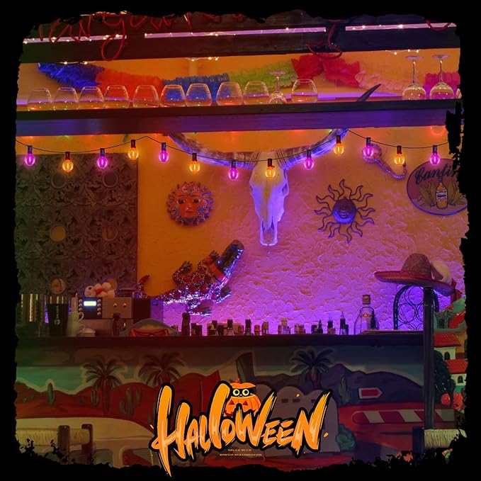 25FT G40 LED Outdoor Halloween String Lights, Orange and Purple Halloween Decorations Lights with 27 Shatterproof Globe Bulbs(2 Spare), Hanging Patio Lights for Holiday Balcony Backyard Party Garden