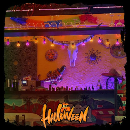 25FT G40 LED Outdoor Halloween String Lights, Orange and Purple Halloween Decorations Lights with 27 Shatterproof Globe Bulbs(2 Spare), Hanging Patio Lights for Holiday Balcony Backyard Party Garden