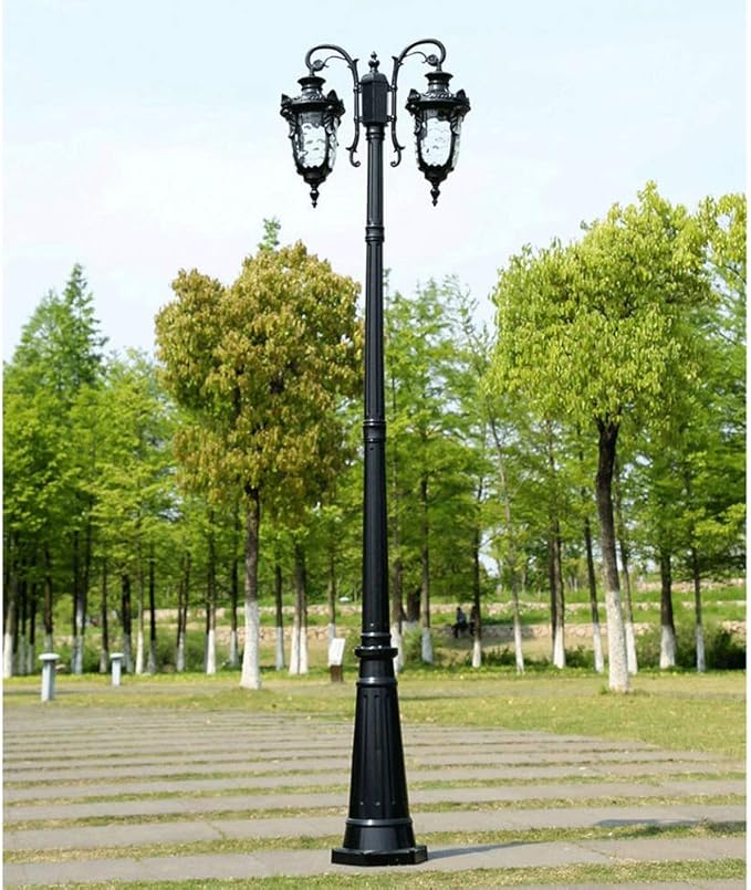 Outdoor Lamp Post Light Lamp Post Lights Outdoor,2-Head Street Light Anti-Rust Aluminum High Pole Light European | Lumora