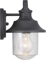 Progress Lighting Weldon Collection 1-Light Clear Seeded Glass Farmhouse Outdoor Small Wall Lantern Light Textured | Lumora