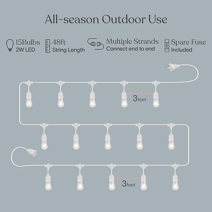 Brightech Bundle: Ambience Pro Waterproof LED Outdoor String Lights - Hanging, Dimmable 2W Vintage Edison Bulbs - White + Outdoor Dimmer Plug