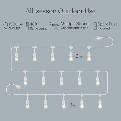 Brightech Bundle: Ambience Pro Waterproof LED Outdoor String Lights - Hanging, Dimmable 2W Vintage Edison Bulbs - White + Outdoor Dimmer Plug