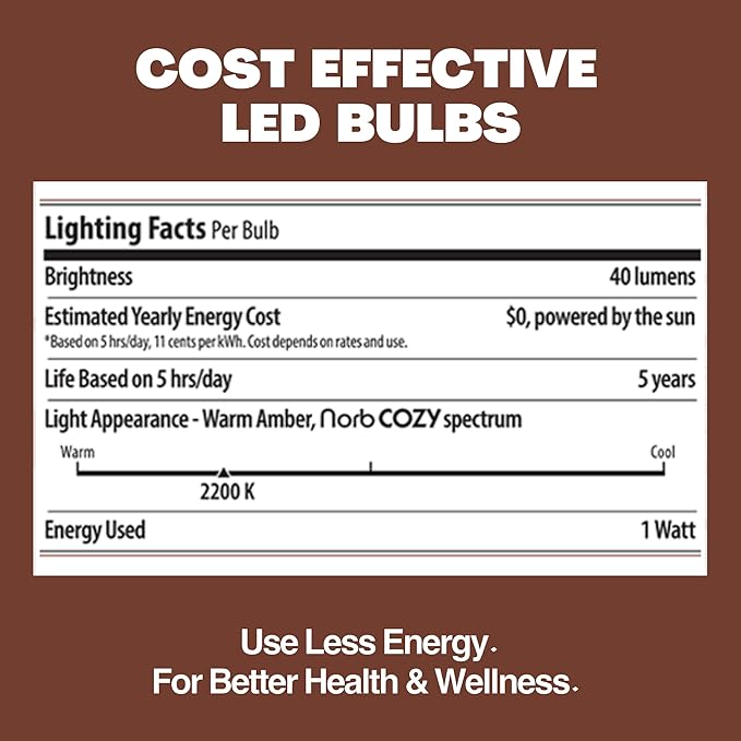 Norb NorbSOLAR S14 LED Solar Replacement Bulbs 1W DC – Outdoor String Light Bulbs with Warm Candlelight Glow, E26 | Lumora