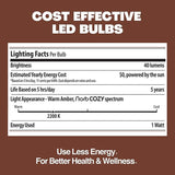 Norb NorbSOLAR S14 LED Solar Replacement Bulbs 1W DC – Outdoor String Light Bulbs with Warm Candlelight Glow, E26 | Lumora