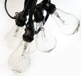 Hometown Evolution, Inc. Commercial Grade Vintage Edison Outdoor String Lights (PS50 Clear - Commercial Black Wire | Lumora