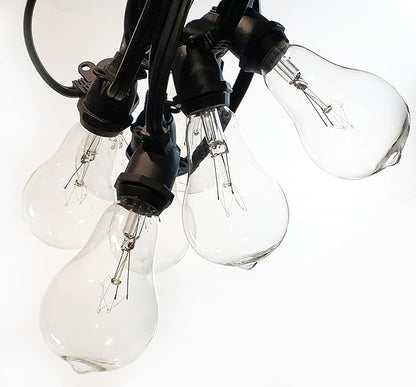 Hometown Evolution, Inc. Commercial Grade Vintage Edison Outdoor String Lights (PS50 Clear - Commercial Black Wire, 50 ft)