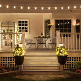 Wintergreen Lighting C9/E17 Light Stringer, 12' Socket Spacing, Outdoor String Light Patio Stringer, Fits C9/E17 | Lumora