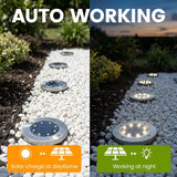 6/16/18 Pack Solar Lights Outdoor, IP44 Waterproof Solar Ground Lights with 8 Modes, Solar Powered Landscape | Lumora