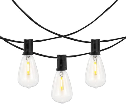 SAFAVIEH Lighting Collection Dorcia Black 10-Foot LED Outdoor String Lights